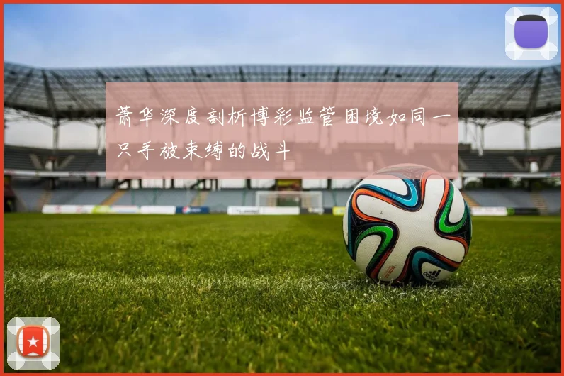 萧华深度剖析博彩监管困境如同一只手被束缚的战斗
