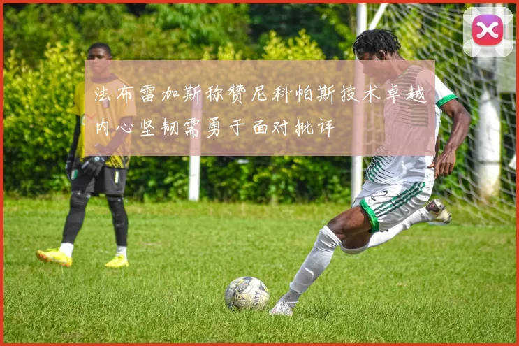法布雷加斯称赞尼科帕斯技术卓越内心坚韧需勇于面对批评