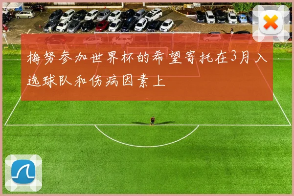 梅努参加世界杯的希望寄托在3月入选球队和伤病因素上
