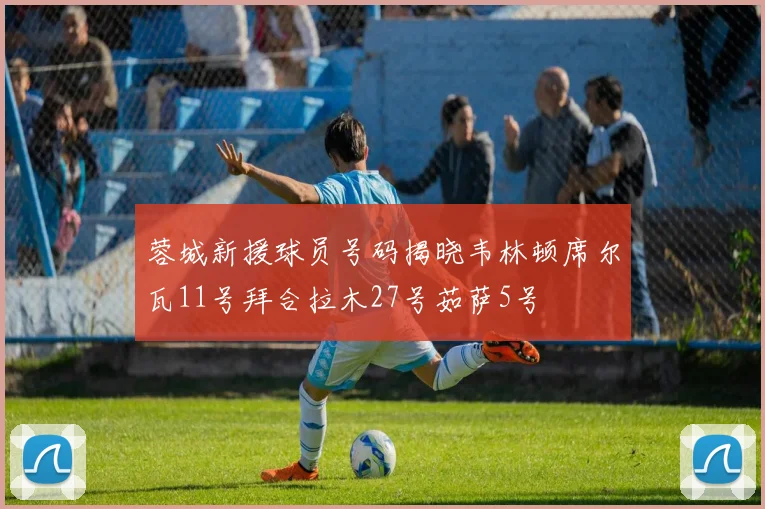 蓉城新援球员号码揭晓韦林顿席尔瓦11号拜合拉木27号茹萨5号
