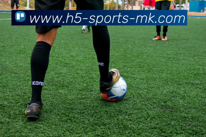 MK体育平台生态图